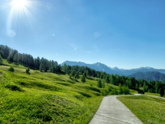 Passeggiando lungo il carso triestino