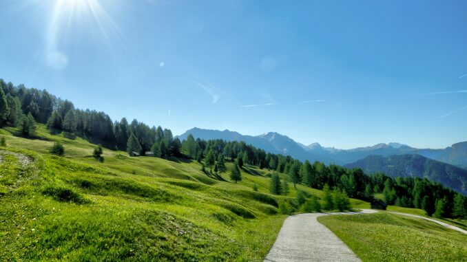 Passeggiando lungo il carso triestino